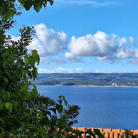 Leon*** Apartman Mimice