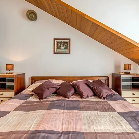 Apartman Leon*** Mimice