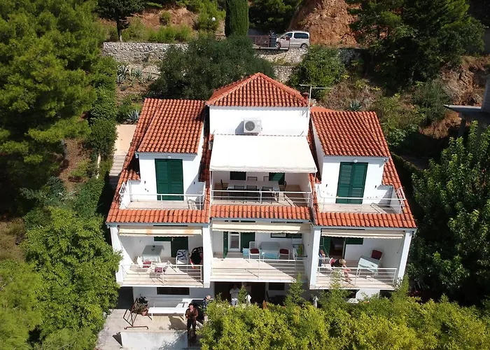 Leon*** Мимице