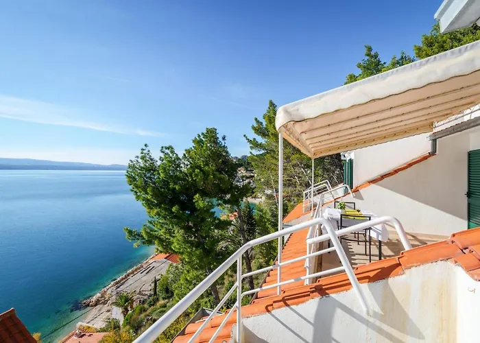 Leon*** * Мимице