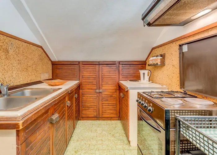 Leon*** * Мимице