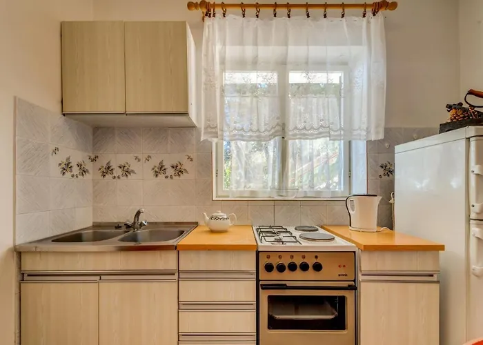 Leon*** Мимице