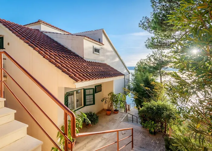 Leon*** * Мимице